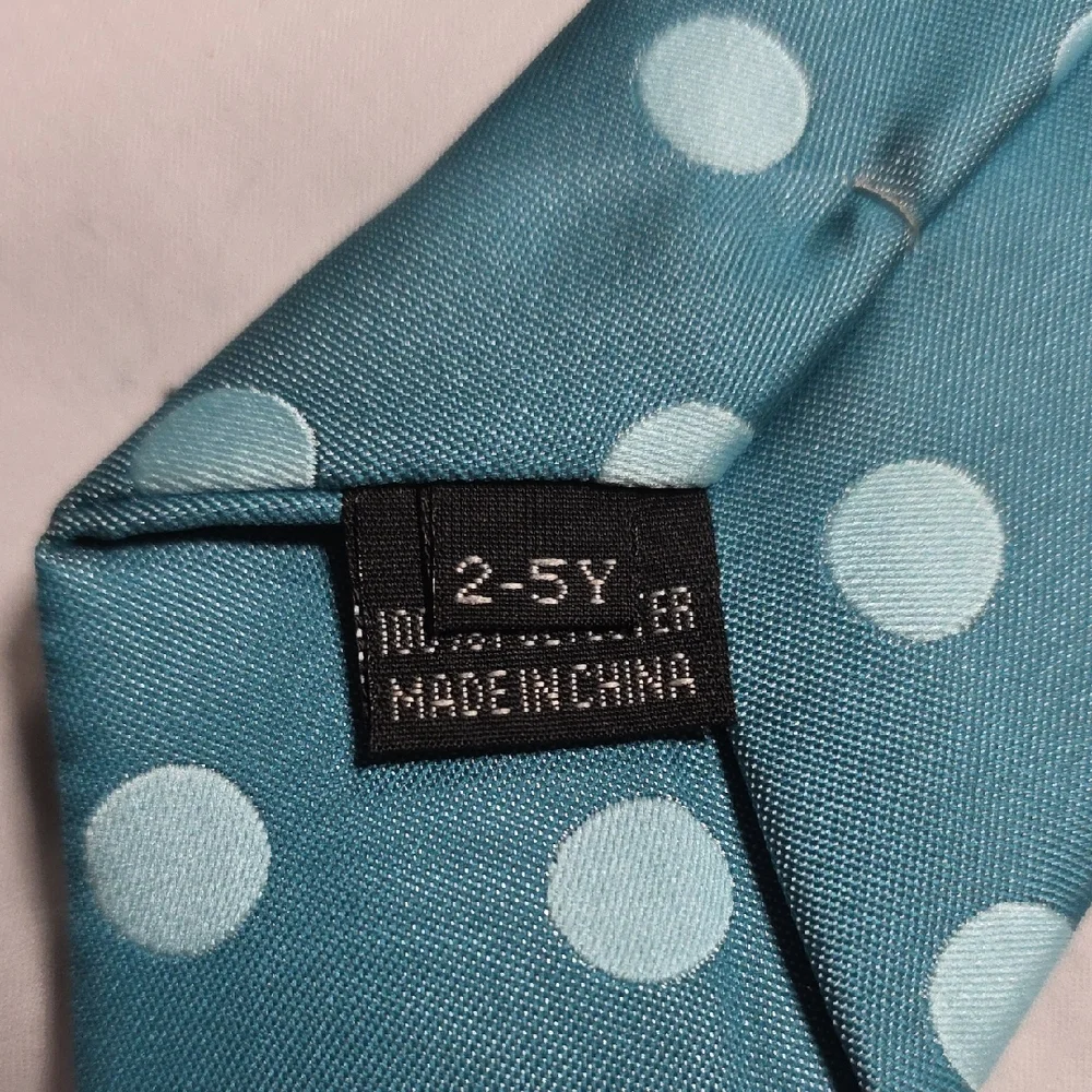 Stylish Blue Polka Dot Tie